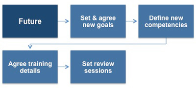 Defining appraisal goals