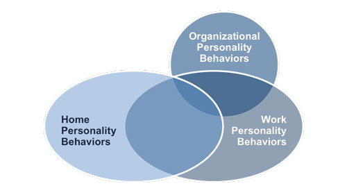 Work and organizational behaviors