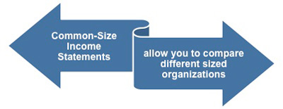 Common size income statements allow you to compare different sized organizations