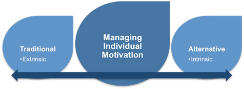 Managing Individual Motivation