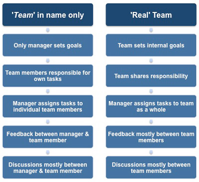 The factors that define a real team