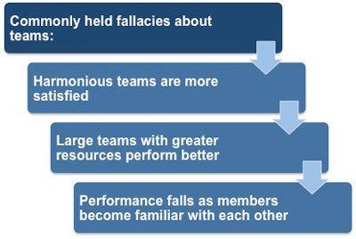 common fallacies about teams