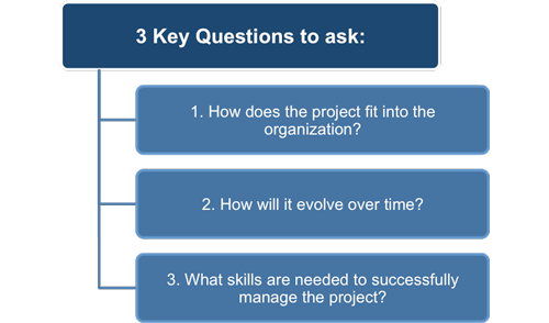 The role of the project manager