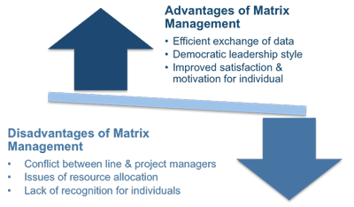 Advantages and disadvantages of matrix management