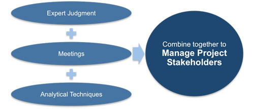 Plan Stakeholders Management: Tools and Techniques