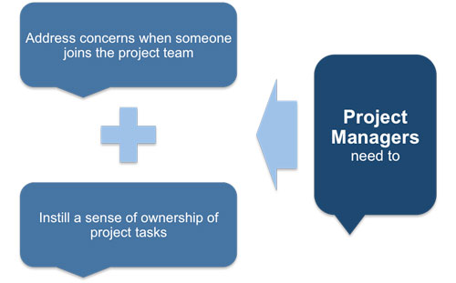 Concerns of project team members