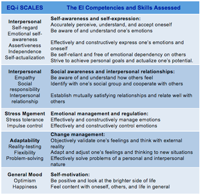 Assessment using the ES-I Bar-On Model of Emotional Intelligence