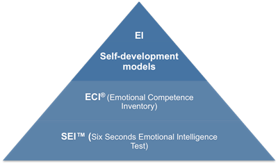 Self-development Models of Emotional Intelligence