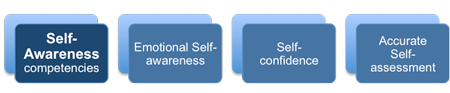 Understanding Emotional Intelligence Self-awareness Competencies