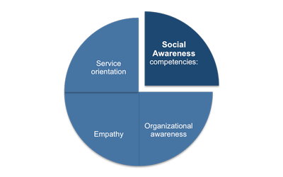 Social Awareness Competencies