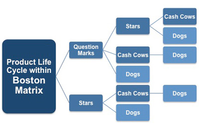 Product life cycle within the Boston matrix