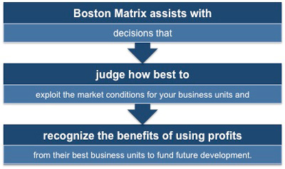 Using the Boston Matrix at Brand Level