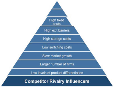 Competitor rivalry factors