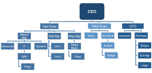 Organizational Breakdown Structure (OBS) Example