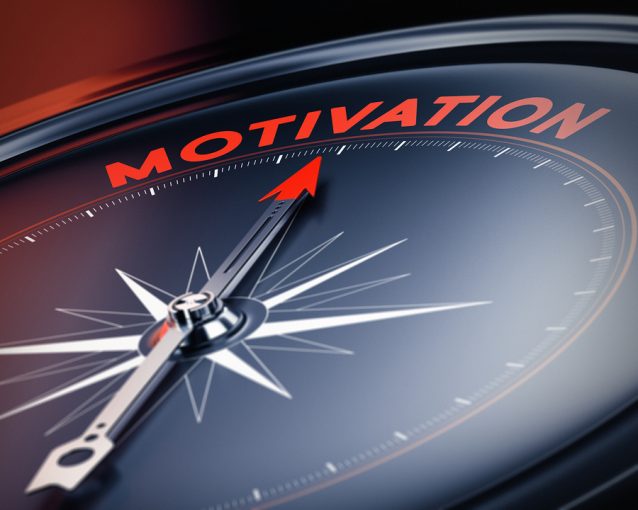 erg model of motivation