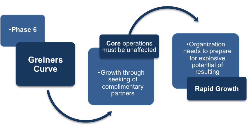 Growth Through Extra-Organizational Solutions